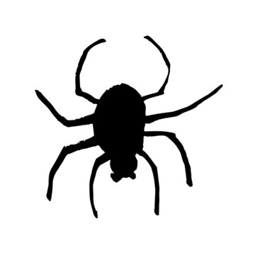 Vector image of a spider for Halloween.
Black on a white background. Brush strokes. Hand drawing