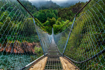 Fototapety  The Longest swing bridge in NZ in the Upper Buller gorge crossing the river and disappearing into lush native foliage