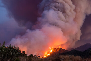 Forest fire near Marmaris resort town of Turkey on July 29, 2021