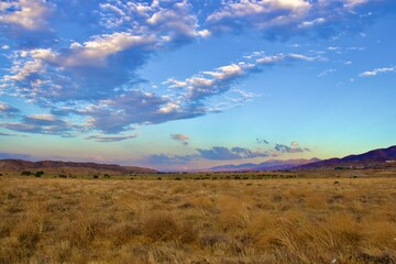 California Desert Landscape With Mountain Background