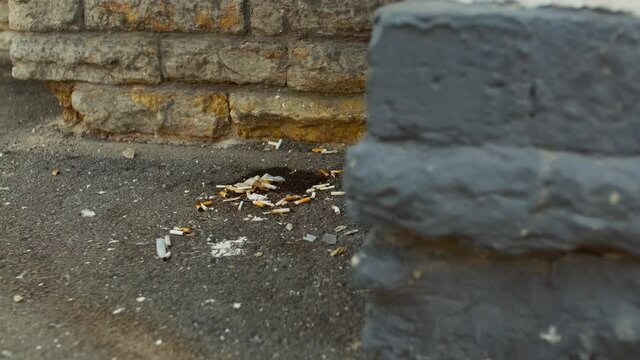 Polluted streets. Cigarette butts lying around by the corner. earth inhabitants managed to destroy environment. people throwing rubbish outside. animals extinction and endangered species conception. 