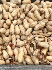 close up of peanuts