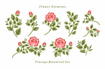 Set of vintage feminine red peony flower bouquet vector illustration arrangements for logo, beauty products, decoration, wedding invitation, greeting cards, aesthetic elements for various purposes