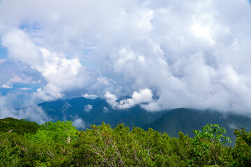霧がかかる高山の風景