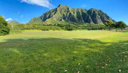 Fototapeten Kualoa Ranch in Oahu, Hawaii. Green mountains of the Koolau range in with blue sky and green grass with leaves in the foreground. © Patrick