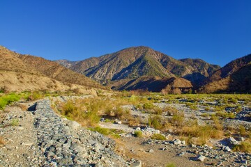 Fototapeta na wymiar California Desert Landscape With Mountain Background