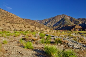 California Desert Landscape With Mountain Background