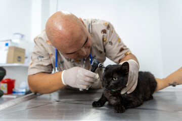 Veterinarian in brown uniform attends to a black cat