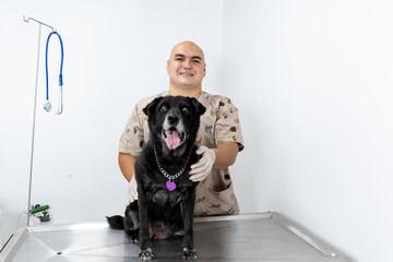 Veterinarian in brown uniform attends to a black dog