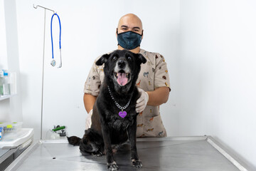 Veterinarian in brown uniform attends to a black dog