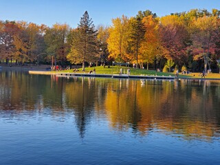 autumn in the park