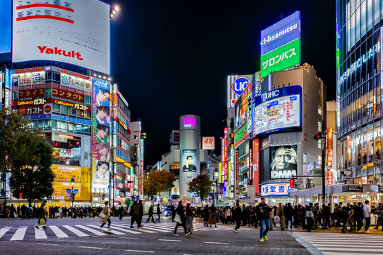 Japan - November 19, 2019 : Illumination of Advertising Signs at Night with Japanese people and Tourists walking across Shibuya Scramble Crossing, Shibuya, Tokyo