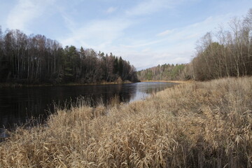 lake in autumn