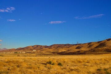 California Desert Landscape With Mountain Background