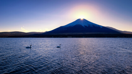 Fuji Mountain Diamond with Swans at Sunset, Yamanaka Lake, Japan