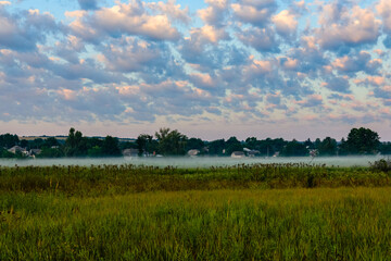 Fog on a meadow in morning on summer