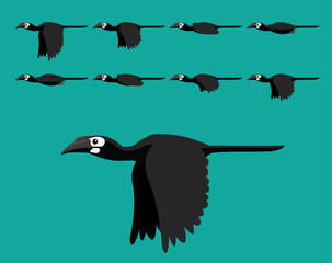 Animal Animation Sequence Bushy Crested Hornbill Flying Cartoon Vector © bullet_chained