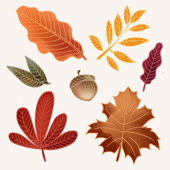Obraz premium Autumn leaves set background element 