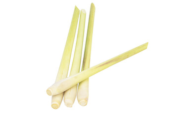 fresh lemongrass lemon grass isolated on white background , top view , flat lay. Famous ingredient in asia kitchen. Herbs are popular in Thailand and then It is a food ingredient.