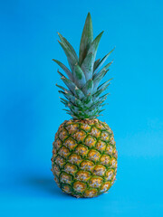 fresh pineapple on blue background.