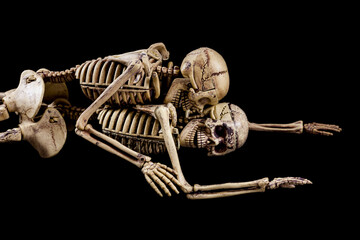 Halloween sex,Skeletons having sex on black background.