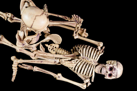 Halloween sex,Skeletons having sex on black background.