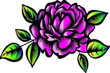 pink and green flower