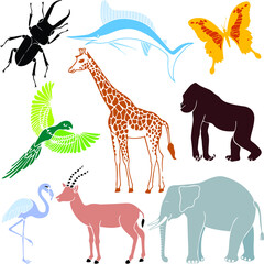 set of wild animals