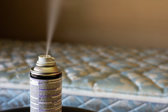 Selective Focus On Insect Insecticide Aerosol Can Fogger Used To Kill Bed Bugs, Spiders, Mites, Flies, And Fleas