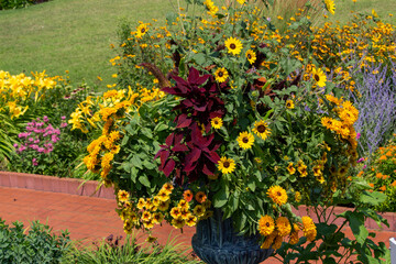 Close-up view of a potted arrangement of colorful flowers in a landscaped sunny garden
