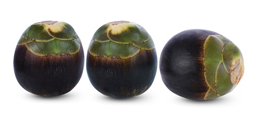 Toddy Palm isolated on white background