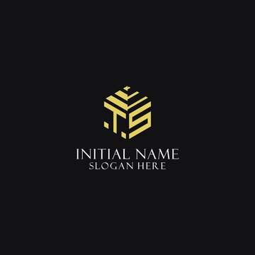 TS initial monogram with hexagon shape logo, creative geometric logo design concept