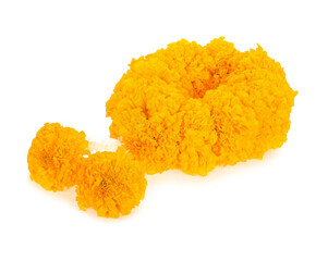 yellow marigold flower garland on white background