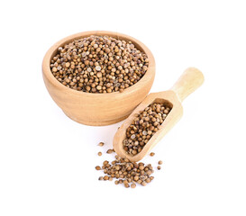 Coriander seeds top view on white background