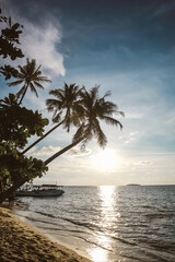Fototapeta na wymiar Silhouette and reflection of sun at the sea with coconut trees on beautiful beach at Karimun Jawa Island