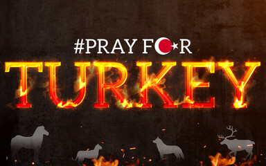pray for turkey, turkey is burning. flaming turkey text with wildlife in flames. save turkey wildlife concept poster