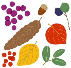 秋の葉っぱや木の実をイメージしたカットイラスト