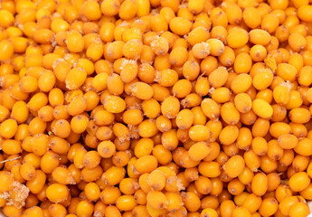 sea buckthorn berries as background