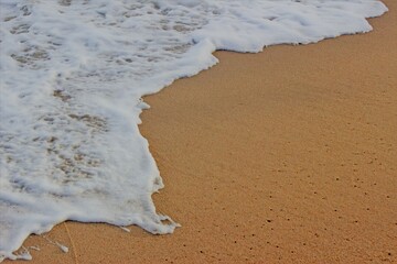 The edge of white froth from an ocean wave washes up onto golden sand of a beach.