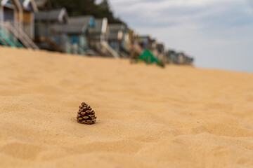 A fir cone in the sand of the beach, with Beach Huts in the blurry background, seen in Wells-next-the-Sea, Norfolk, England, UK