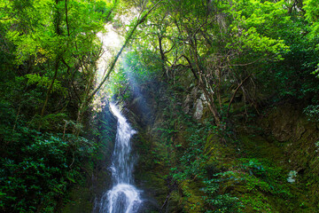 Obraz premium Landscape with a waterfall with light