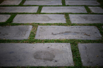 Camino empedrado, camino de rocas ladrillos.