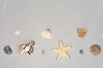 Summer horizontal background - starfishes and seashells on the sand of the beach. Place for an...