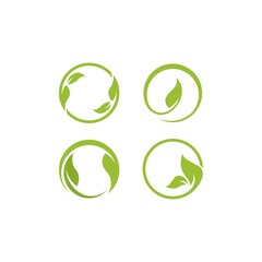 Eco Tree Leaf Logo Template