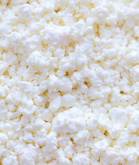 Fresh milk curd as background.