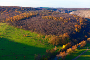 Awesome aerial view of autumn nature . Landscape with treetops in the fall 