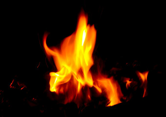 Fototapeta na wymiar Flame of fire on a black