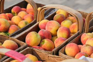 Ontario peaches in baskets on display for sale at farmer's market