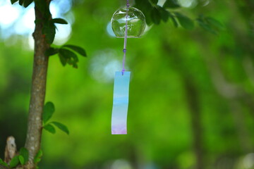 森の中　風に吹かれる風鈴