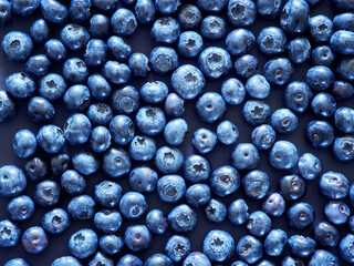 Fresh ripe blueberries on a dark background